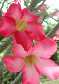 20050503 20050503