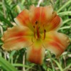 20040522