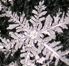20091226 20091226