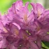 20120502 20120502