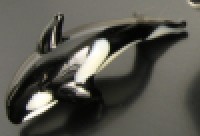 20080619 20080619