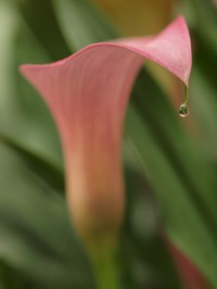 20120518
