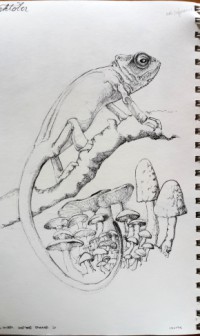 20200901