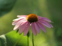 20130726