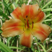 20040522