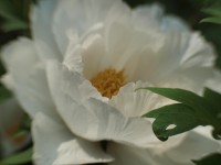 20130522