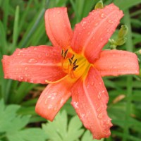 20050430