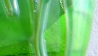 20090306